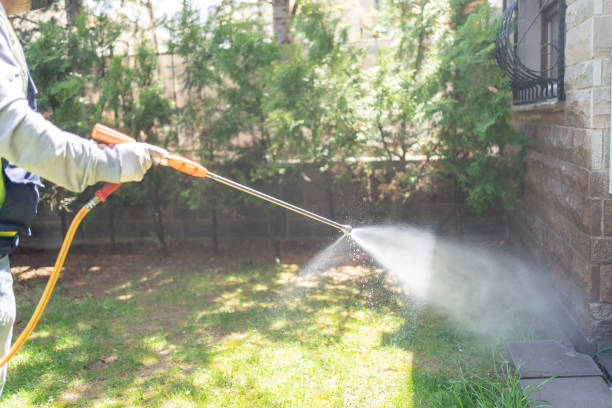 Best Mosquito Control  in Henderson, LA